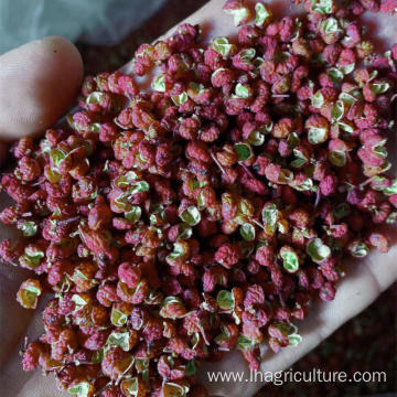 Red Pepper products high quality pricklyash Wholesale Spices